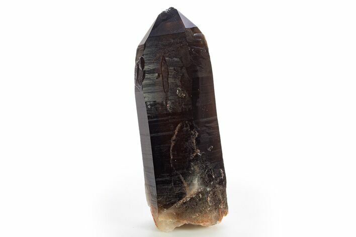Natural, Dark Smoky Quartz Crystal - Colorado #317841